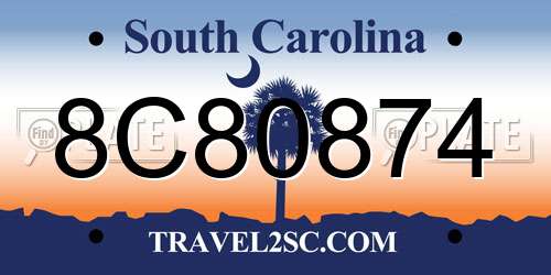 8C80874 South Carolina License Plate
