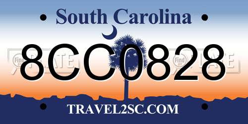 8CC0828 South Carolina License Plate
