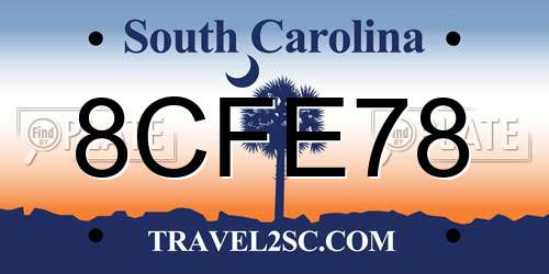8CFE78 South Carolina License Plate