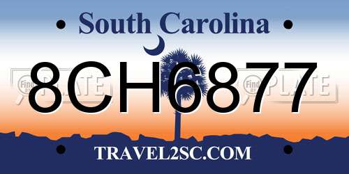 8CH6877 South Carolina License Plate