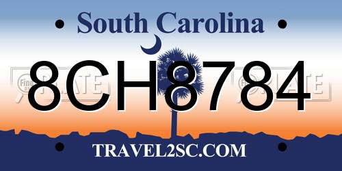 8CH8784 South Carolina License Plate
