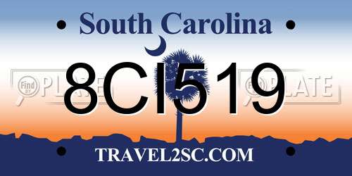 8CI519 South Carolina License Plate