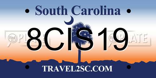 8CIS19 South Carolina License Plate