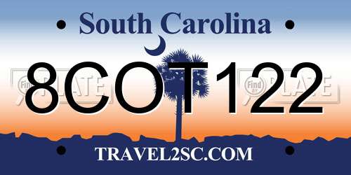 8COT122 South Carolina License Plate