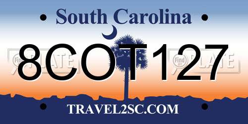 8COT127 South Carolina License Plate