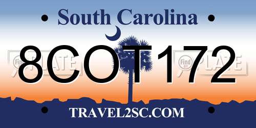 8COT172 South Carolina License Plate