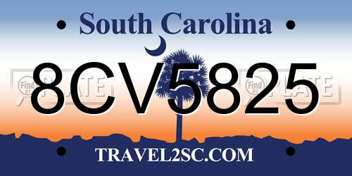 8CV5825 South Carolina License Plate
