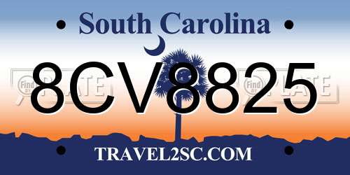 8CV8825 South Carolina License Plate