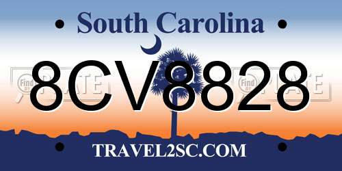 8CV8828 South Carolina License Plate