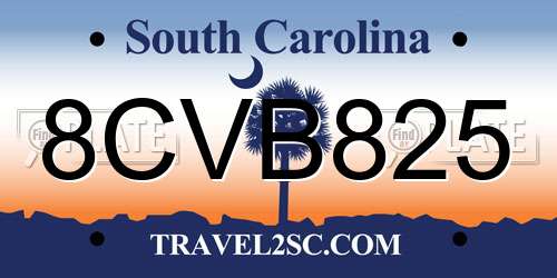 8CVB825 South Carolina License Plate