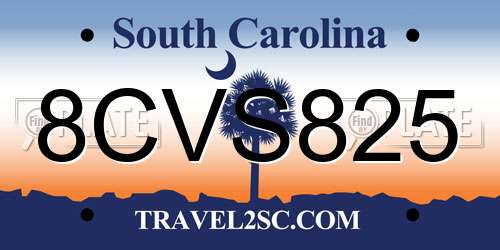 8CVS825 South Carolina License Plate