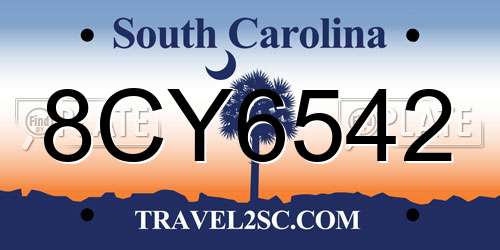 8CY6542 South Carolina License Plate