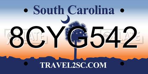 8CYG542 South Carolina License Plate
