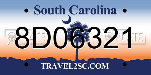 8D06321 South Carolina License Plate