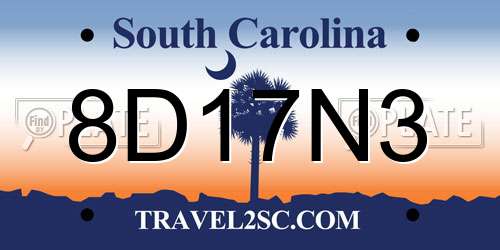 8D17N3 South Carolina License Plate