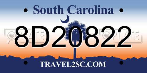 8D20822 South Carolina License Plate
