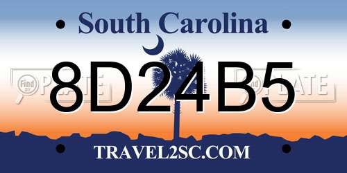 8D24B5 South Carolina License Plate