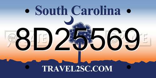 8D25569 South Carolina License Plate