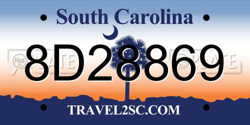 8D28869 South Carolina License Plate