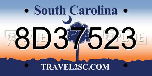 8D37523 South Carolina License Plate
