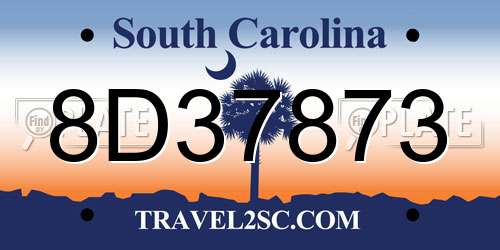 8D37873 South Carolina License Plate