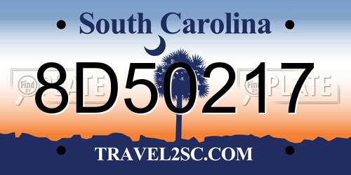 8D50217 South Carolina License Plate