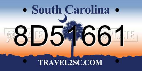 8D51661 South Carolina License Plate
