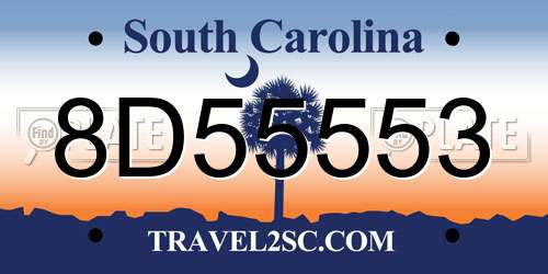 8D55553 South Carolina License Plate