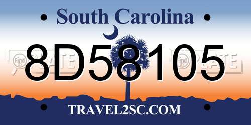 8D58105 South Carolina License Plate