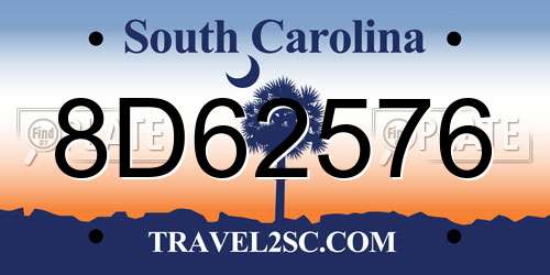 8D62576 South Carolina License Plate