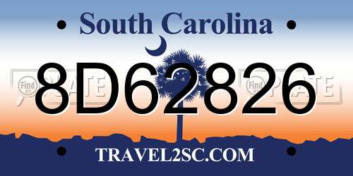 8D62826 South Carolina License Plate
