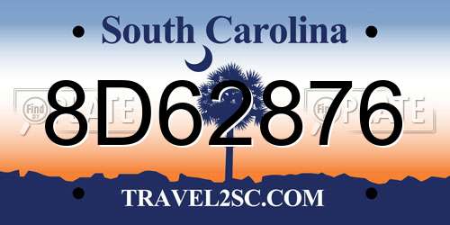 8D62876 South Carolina License Plate
