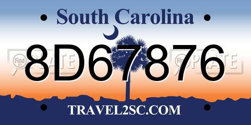 8D67876 South Carolina License Plate