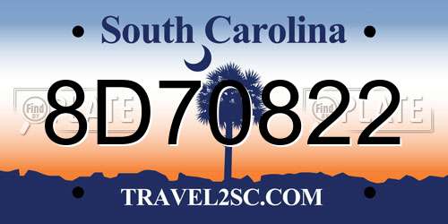 8D70822 South Carolina License Plate