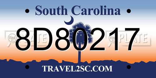 8D80217 South Carolina License Plate