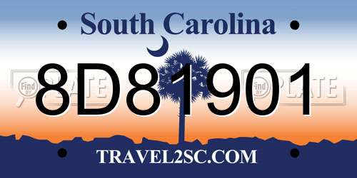 8D81901 South Carolina License Plate