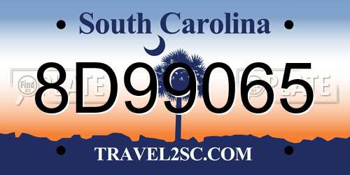 8D99065 South Carolina License Plate