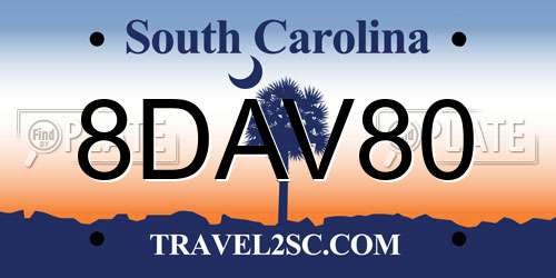 8DAV80 South Carolina License Plate