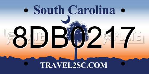8DB0217 South Carolina License Plate