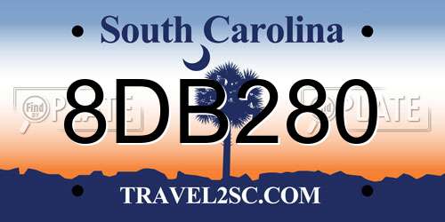 8DB280 South Carolina License Plate