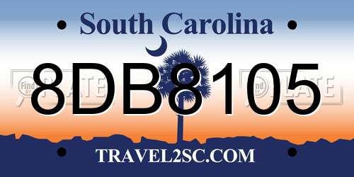 8DB8105 South Carolina License Plate