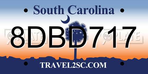 8DBD717 South Carolina License Plate