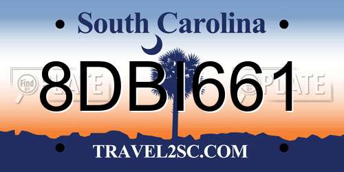 8DBI661 South Carolina License Plate