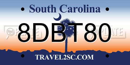 8DBT80 South Carolina License Plate