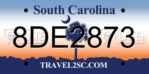 8DE2873 South Carolina License Plate