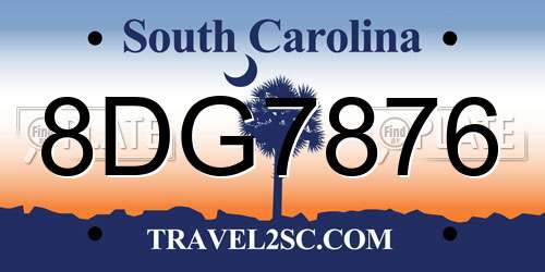 8DG7876 South Carolina License Plate