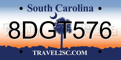 8DGT576 South Carolina License Plate