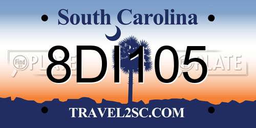 8DI105 South Carolina License Plate