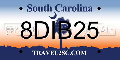8DIB25 South Carolina License Plate