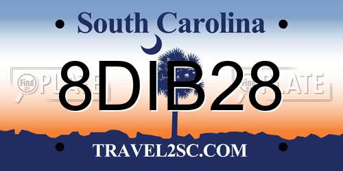 8DIB28 South Carolina License Plate